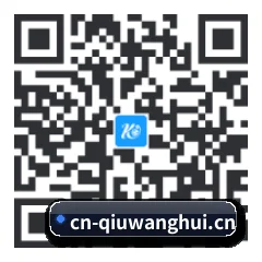 安卓版 Android 二维码